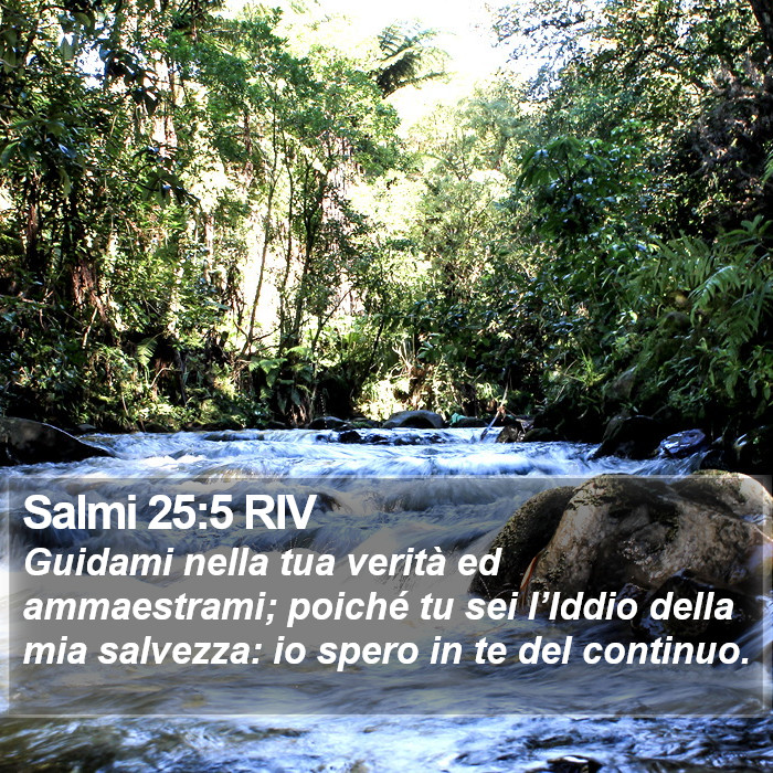 Salmi 25:5 RIV Bible Study