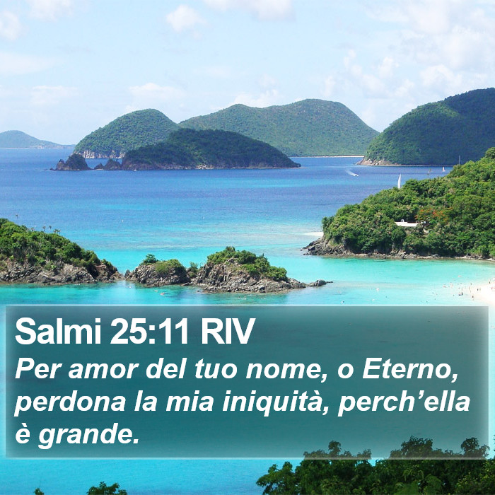 Salmi 25:11 RIV Bible Study