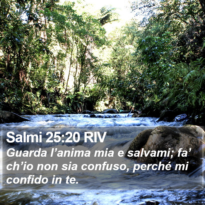 Salmi 25:20 RIV Bible Study