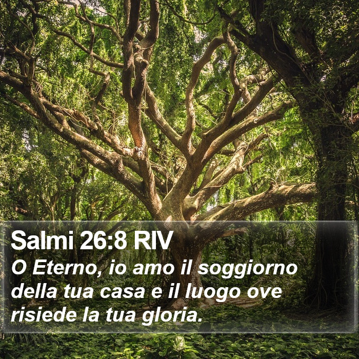 Salmi 26:8 RIV Bible Study