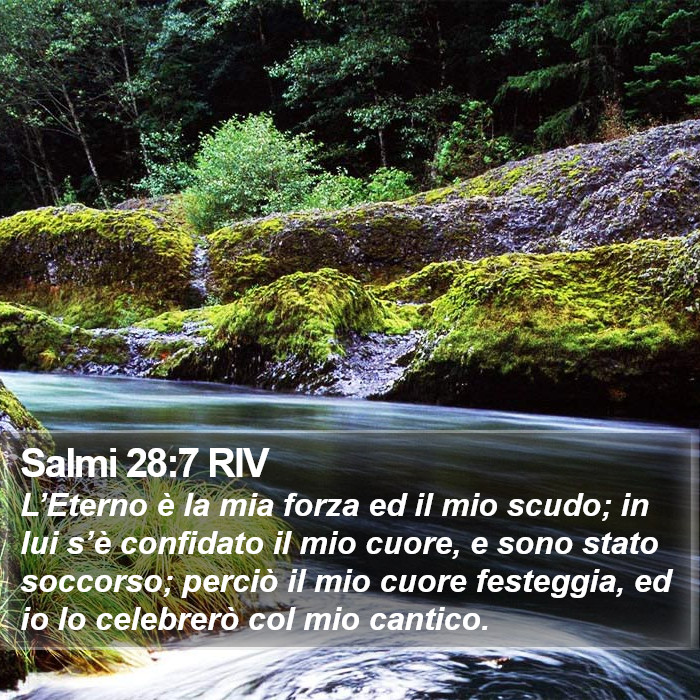 Salmi 28:7 RIV Bible Study