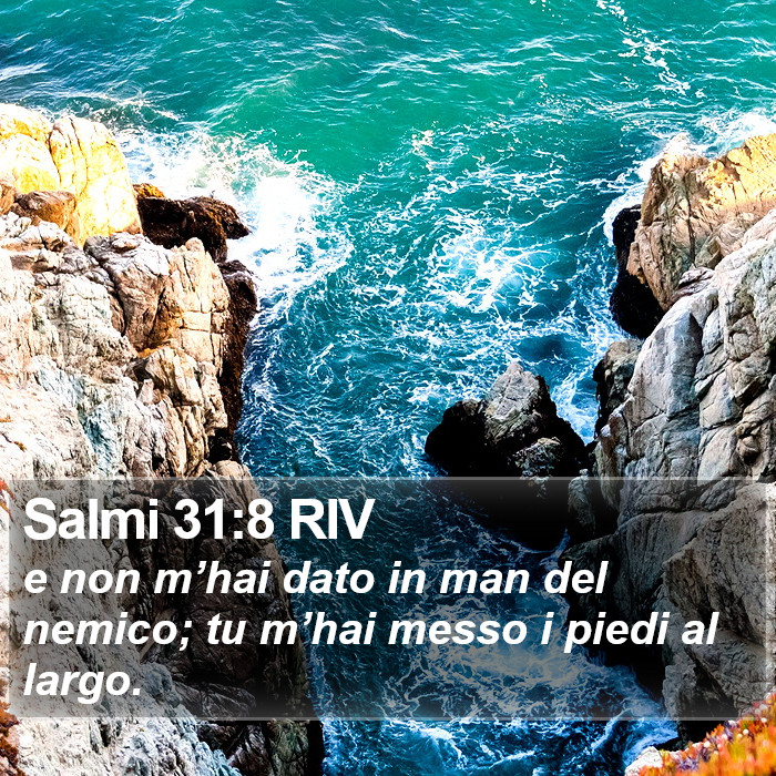 Salmi 31:8 RIV Bible Study