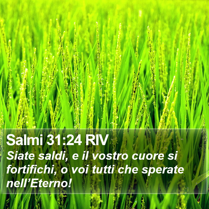 Salmi 31:24 RIV Bible Study
