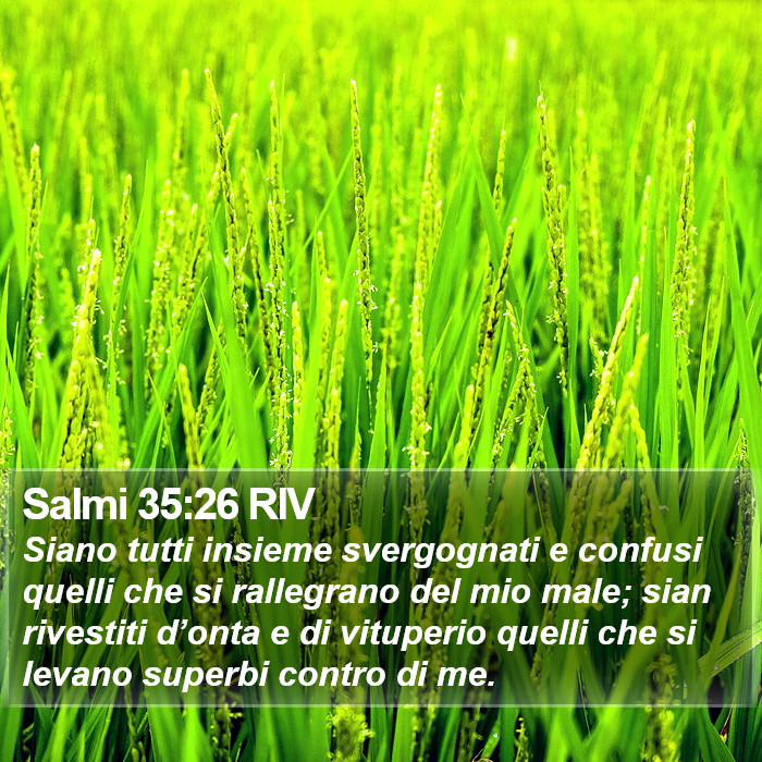 Salmi 35:26 RIV Bible Study