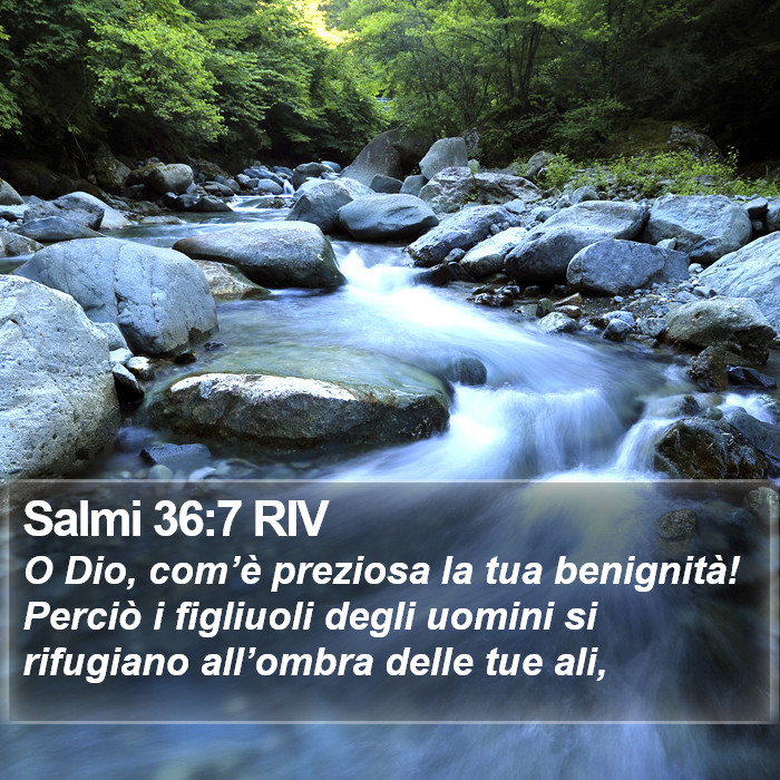 Salmi 36:7 RIV Bible Study