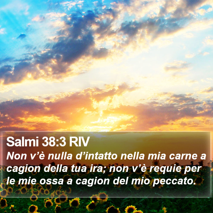 Salmi 38:3 RIV Bible Study