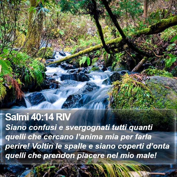 Salmi 40:14 RIV Bible Study