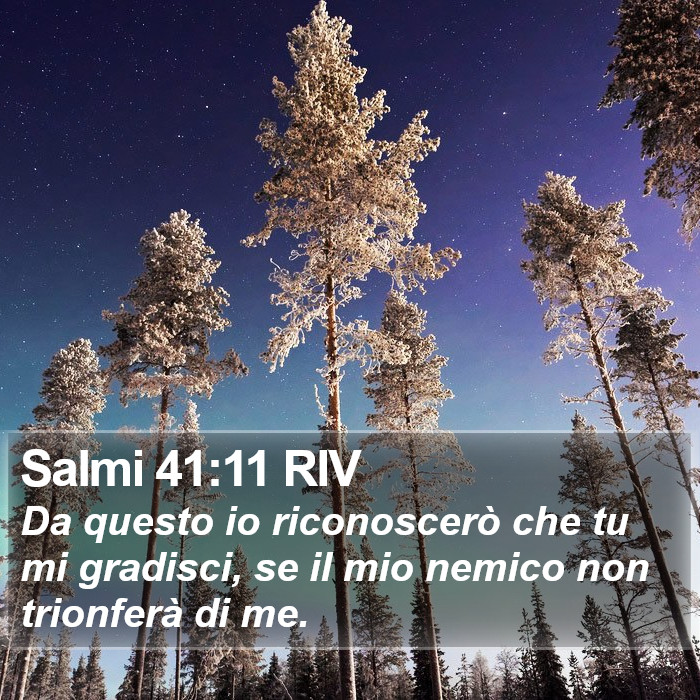 Salmi 41:11 RIV Bible Study