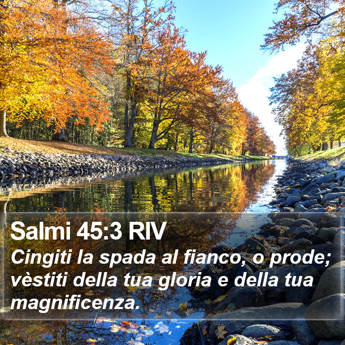 Salmi 45:3 RIV Bible Study