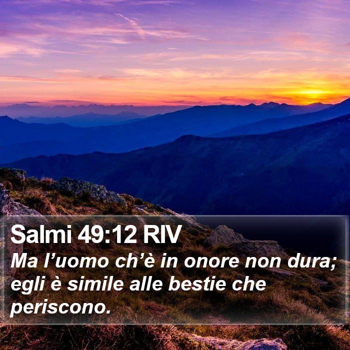 Salmi 49:12 RIV Bible Study