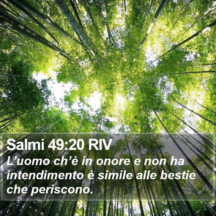 Salmi 49:20 RIV Bible Study