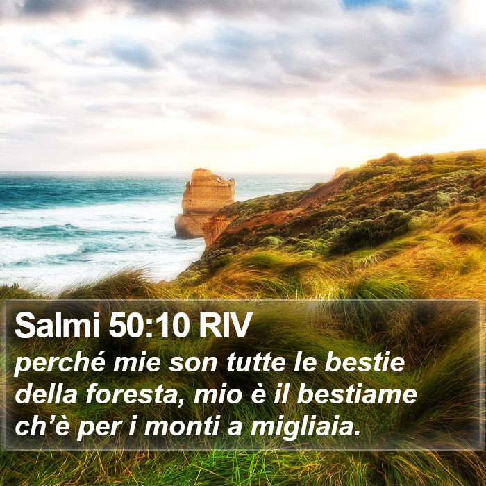 Salmi 50:10 RIV Bible Study