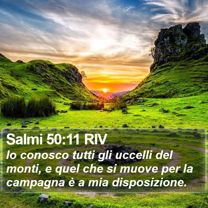 Salmi 50:11 RIV Bible Study