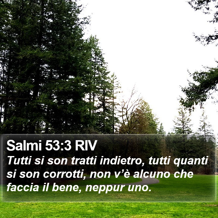 Salmi 53:3 RIV Bible Study