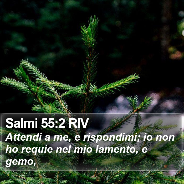 Salmi 55:2 RIV Bible Study