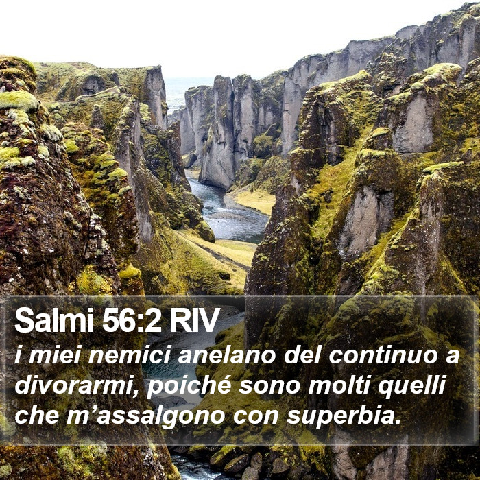 Salmi 56:2 RIV Bible Study