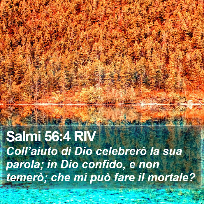 Salmi 56:4 RIV Bible Study