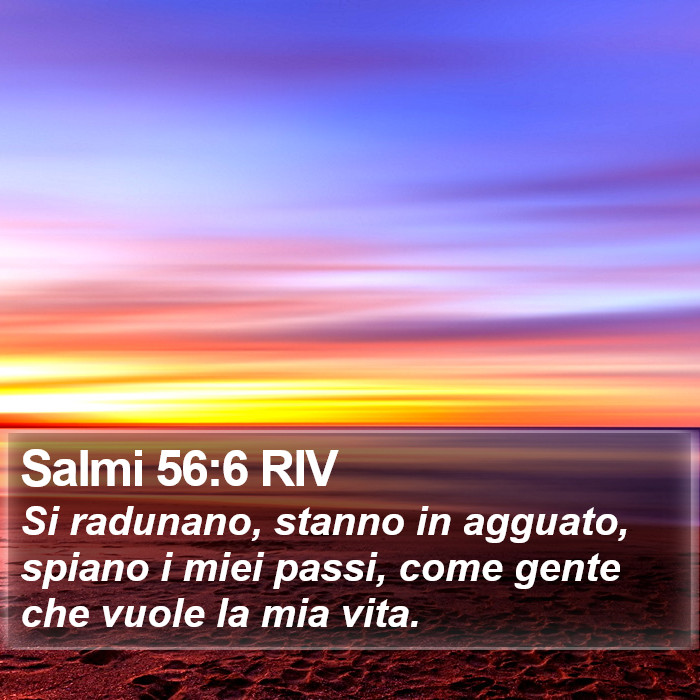 Salmi 56:6 RIV Bible Study
