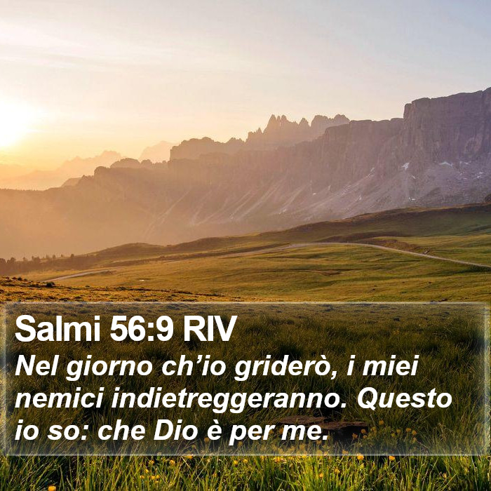 Salmi 56:9 RIV Bible Study