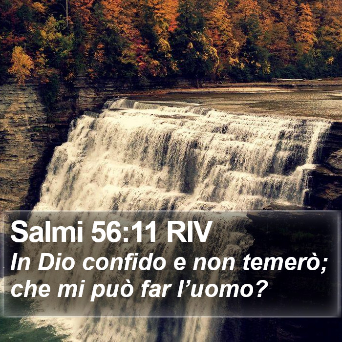 Salmi 56:11 RIV Bible Study