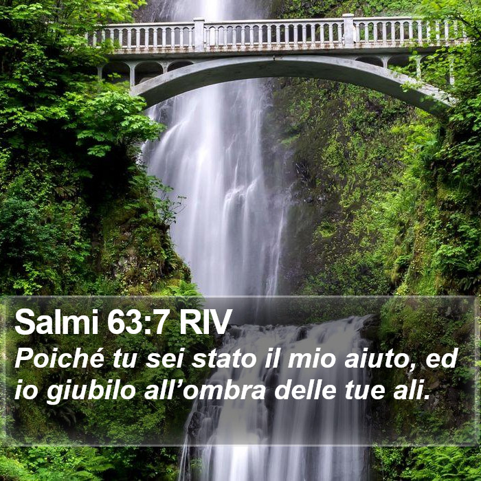 Salmi 63:7 RIV Bible Study