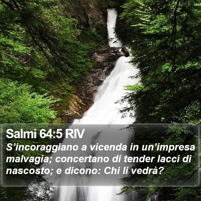 Salmi 64:5 RIV Bible Study