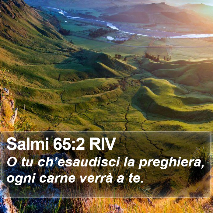 Salmi 65:2 RIV Bible Study