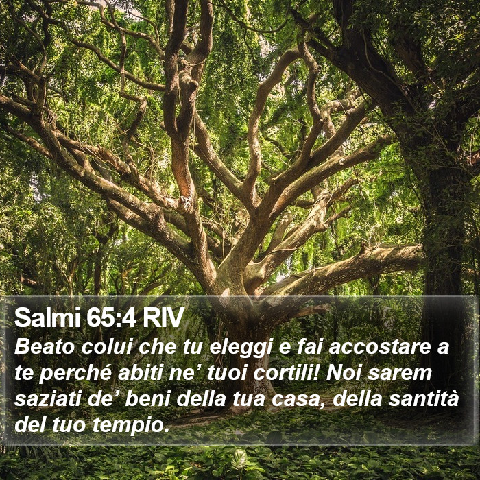 Salmi 65:4 RIV Bible Study