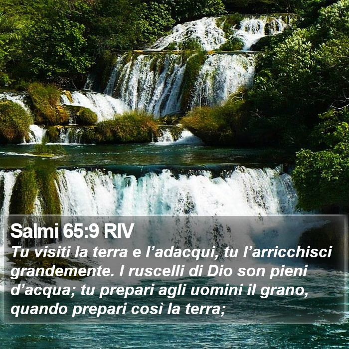 Salmi 65:9 RIV Bible Study