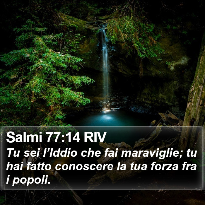 Salmi 77:14 RIV Bible Study