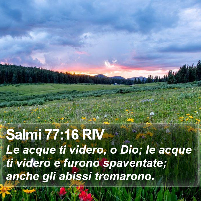 Salmi 77:16 RIV Bible Study