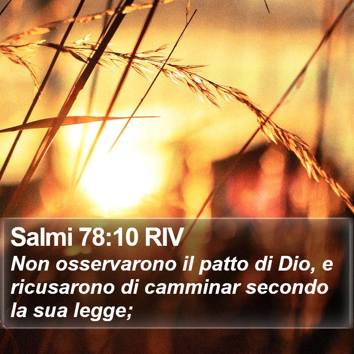 Salmi 78:10 RIV Bible Study