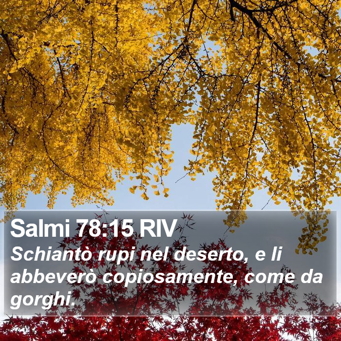 Salmi 78:15 RIV Bible Study