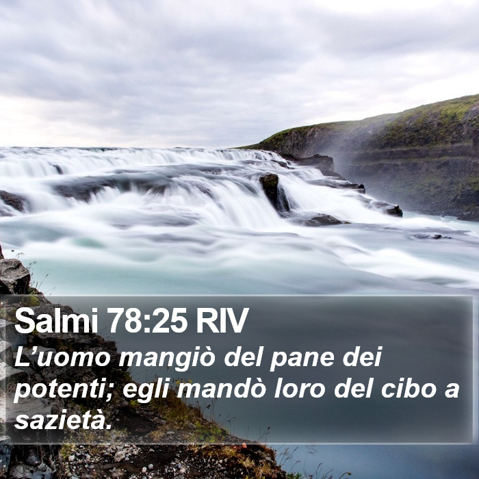 Salmi 78:25 RIV Bible Study