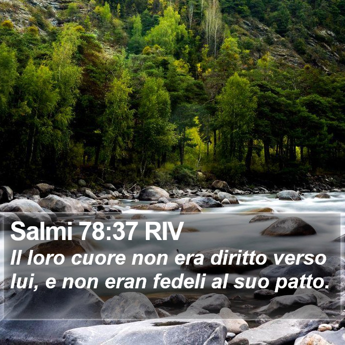 Salmi 78:37 RIV Bible Study