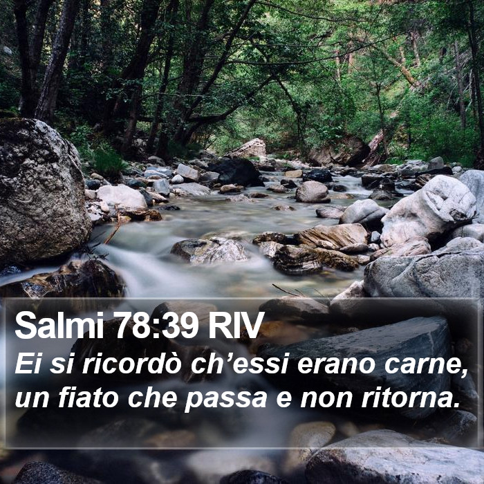 Salmi 78:39 RIV Bible Study