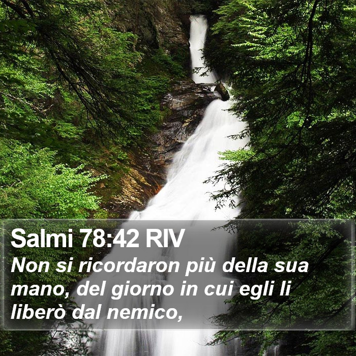 Salmi 78:42 RIV Bible Study