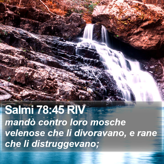 Salmi 78:45 RIV Bible Study