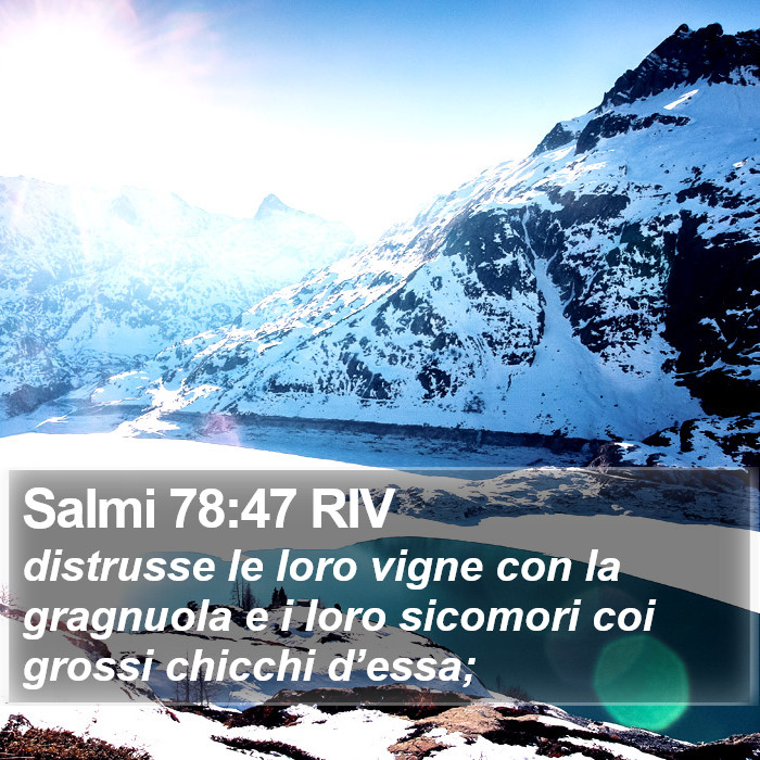 Salmi 78:47 RIV Bible Study