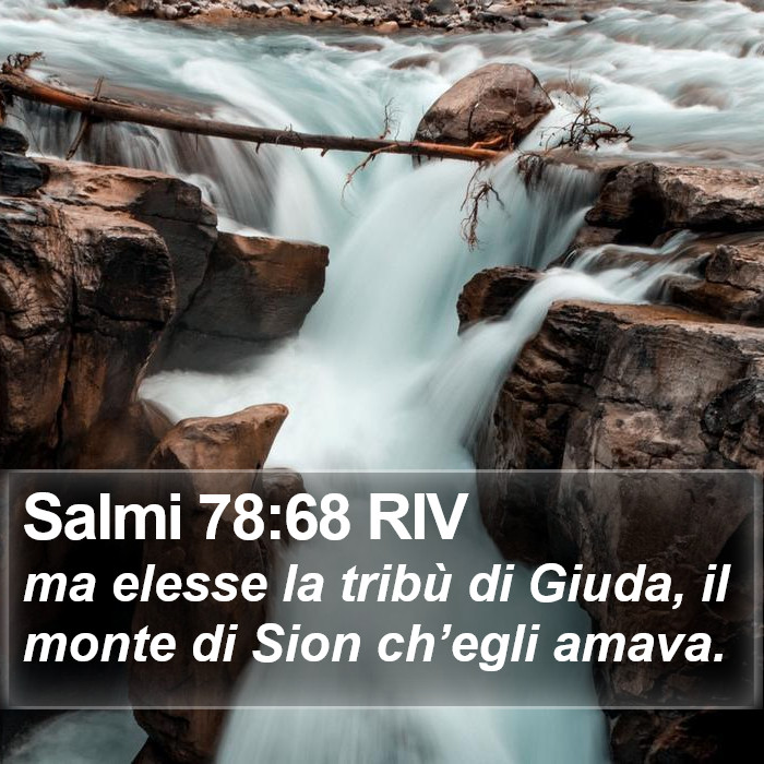 Salmi 78:68 RIV Bible Study