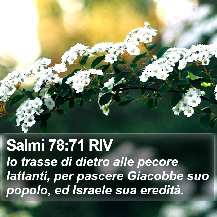 Salmi 78:71 RIV Bible Study