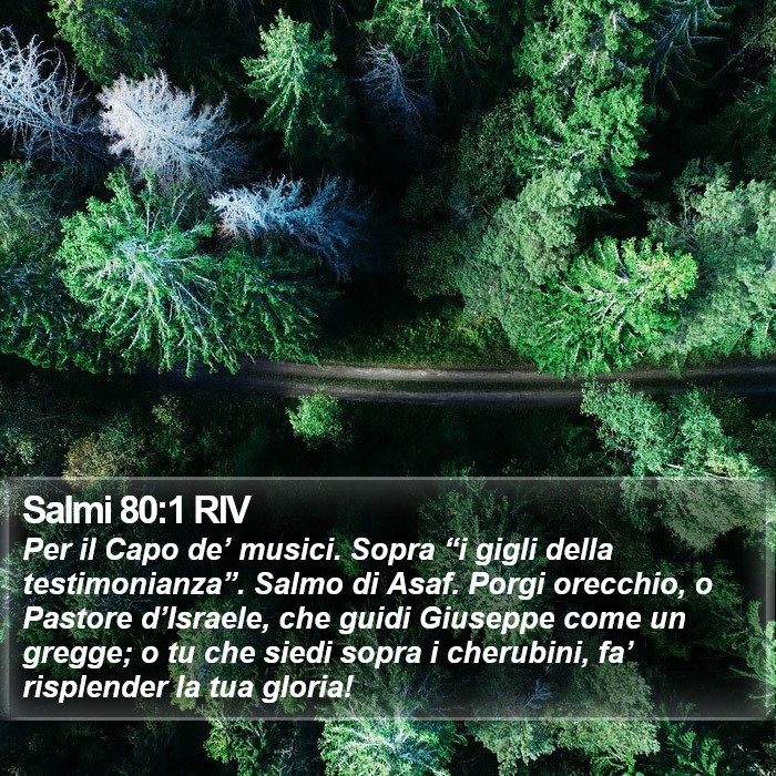 Salmi 80:1 RIV Bible Study