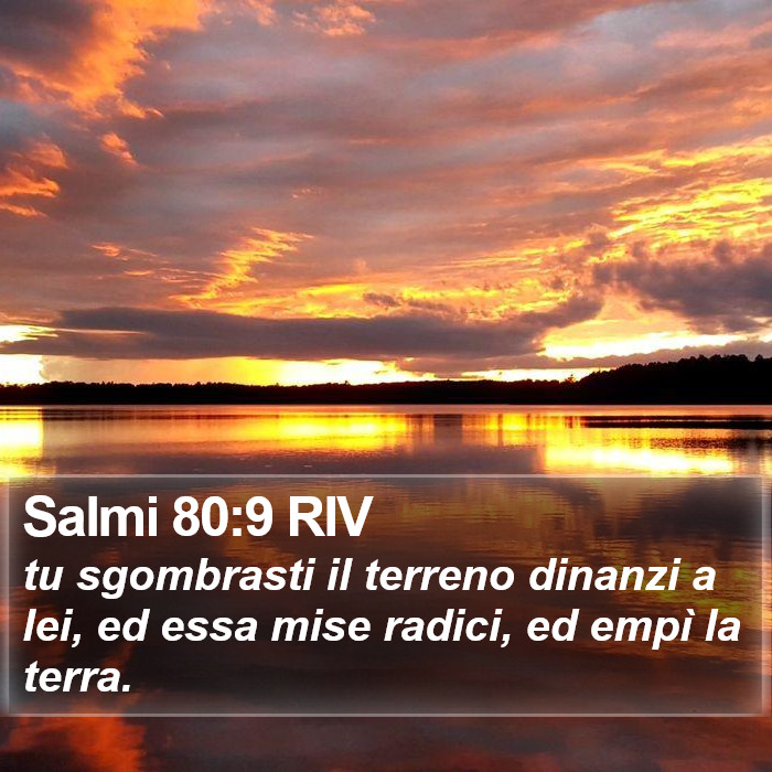 Salmi 80:9 RIV Bible Study