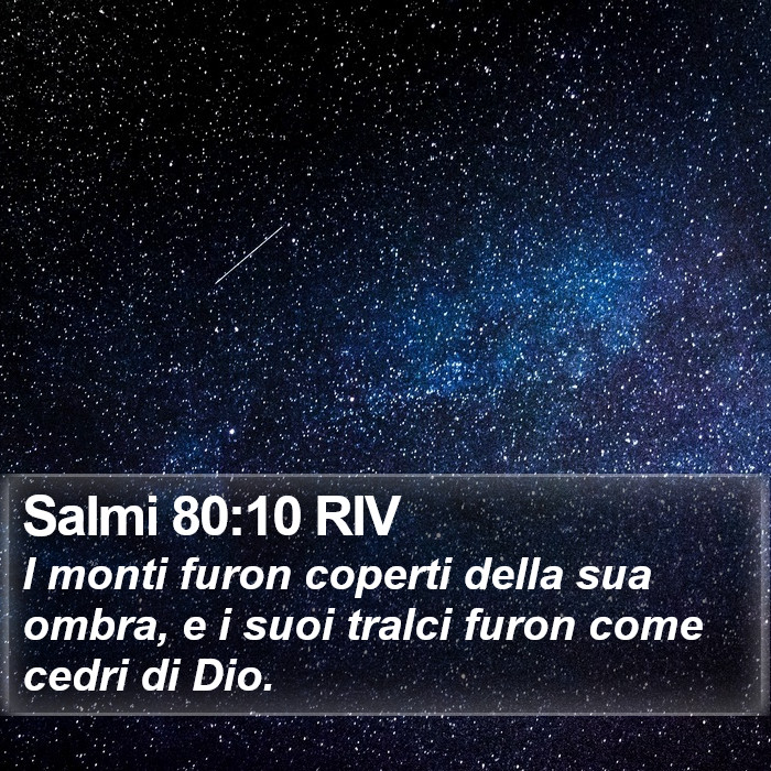 Salmi 80:10 RIV Bible Study