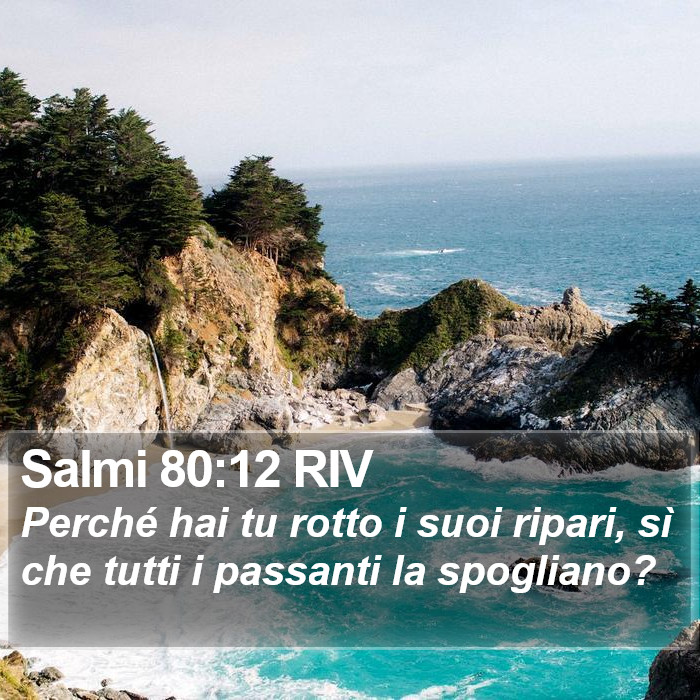 Salmi 80:12 RIV Bible Study