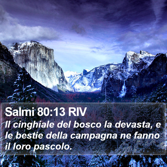 Salmi 80:13 RIV Bible Study