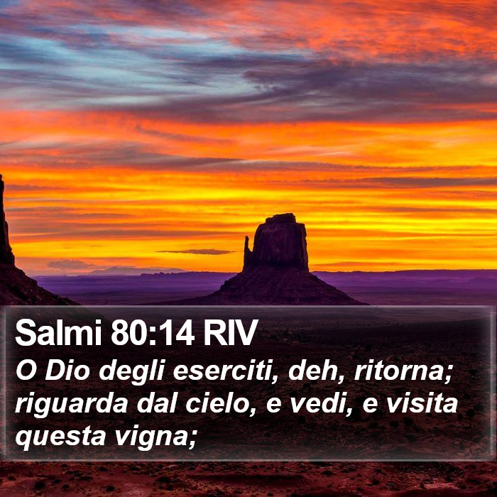 Salmi 80:14 RIV Bible Study