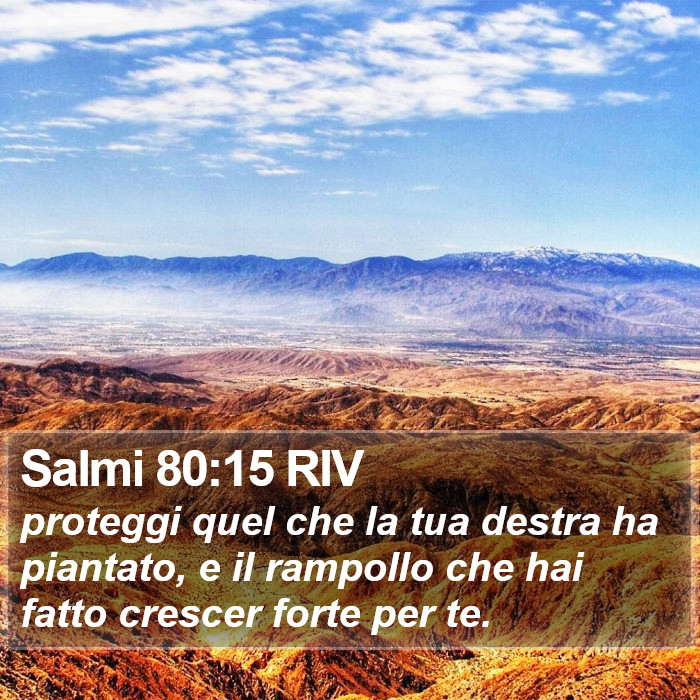 Salmi 80:15 RIV Bible Study