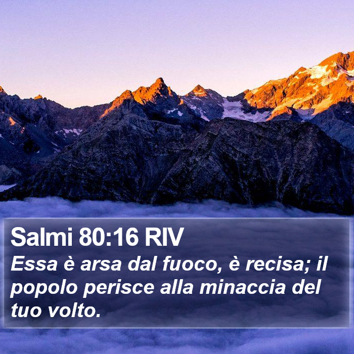 Salmi 80:16 RIV Bible Study