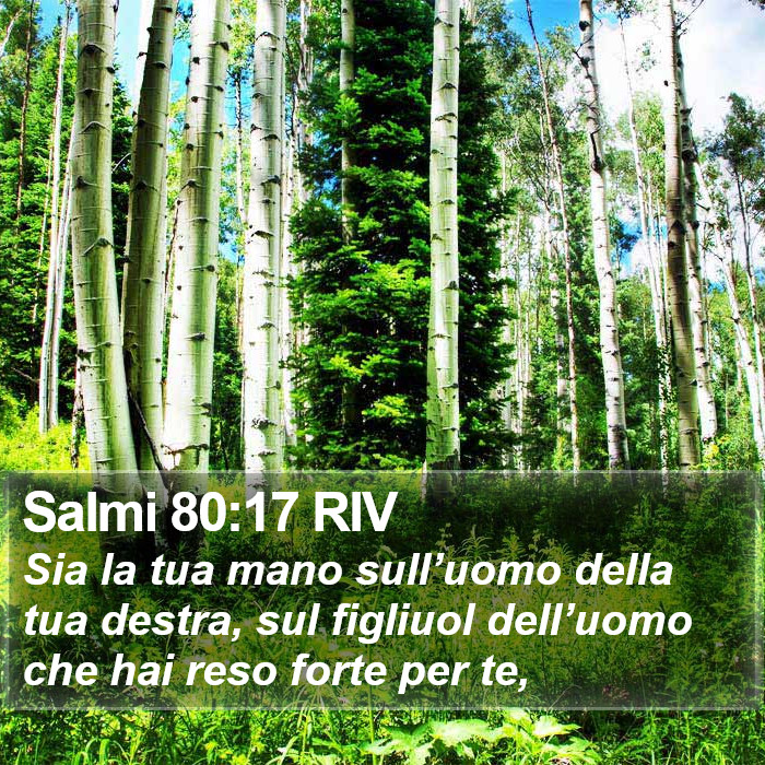 Salmi 80:17 RIV Bible Study